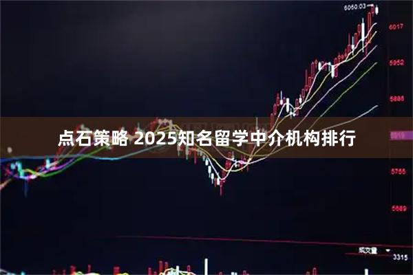 点石策略 2025知名留学中介机构排行