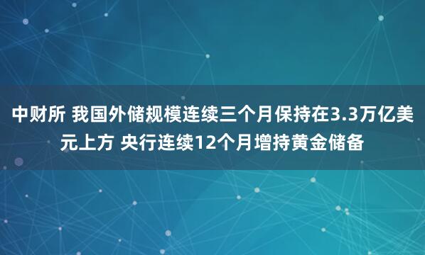 中财所 我国外储规模连续三个月保持在3.3万亿美元上方 央行连续12个月增持黄金储备